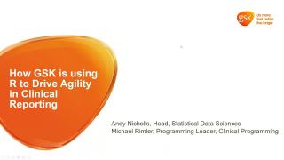 Andy Nicholls & Michael Rimler | Using R to Drive Agility in Clinical Reporting | RStudio (2020)